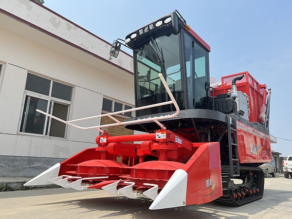 1703207968562770.jpg d47cddfa5e0aa1b915fdce7aebcbf7de_thumb_20231222091925_356.jpg